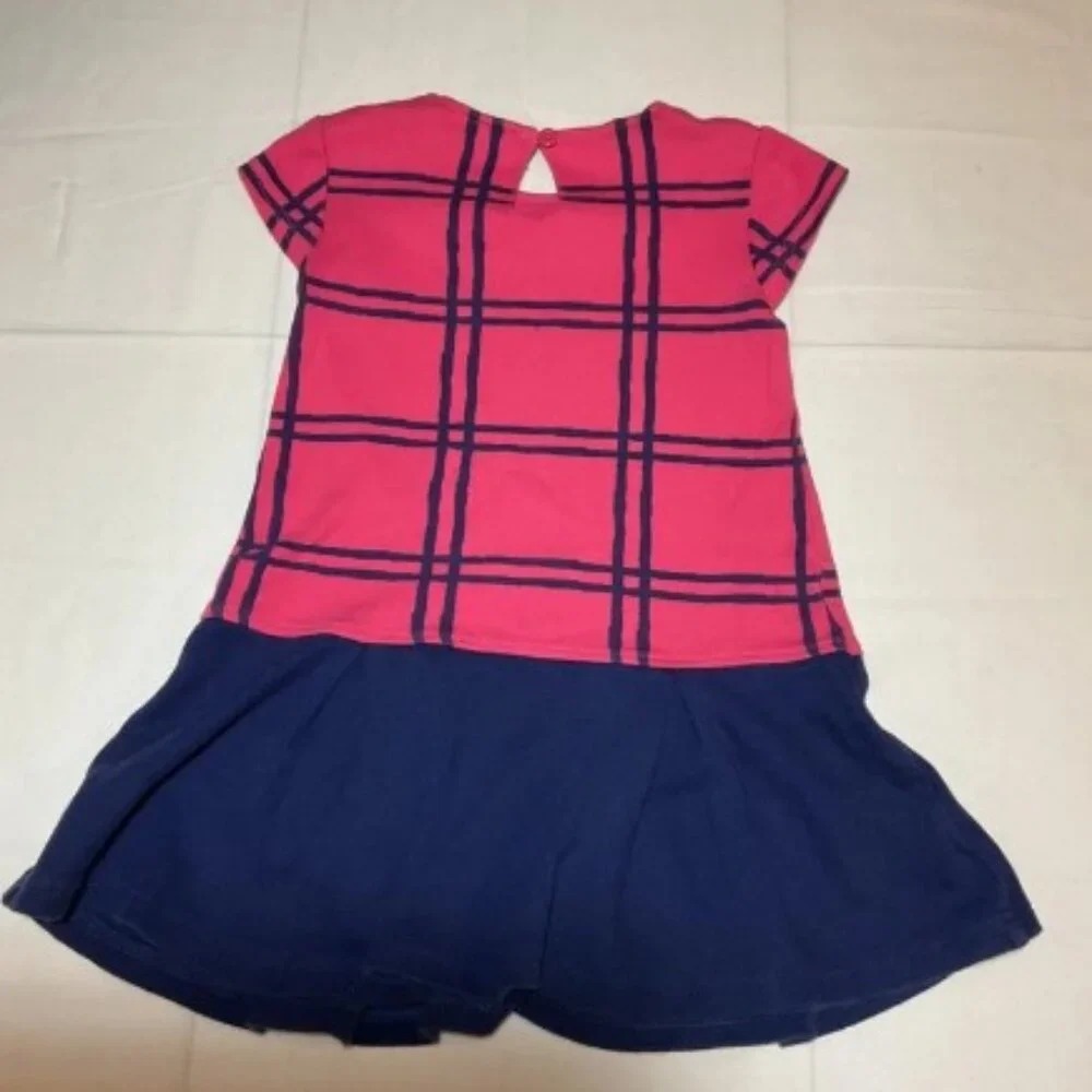 Gymboree Girls 4 Blue Pink Plaid Cotton Short Sleeve Drop Waist Button Dress